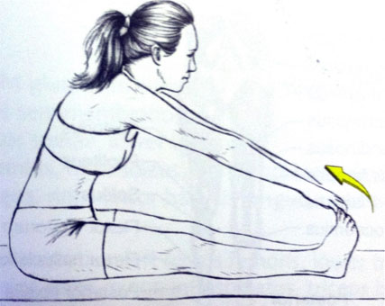 Paschimottanasana Aka Seated forward bend Benefits- पश्चिमोत्तानासन के  फायदे, तरीका, लाभ और नुकसान | TheHealthSite.com हिंदी