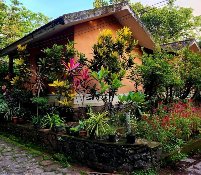 tharvad ayurveda centre yoga vini 2